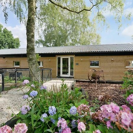 Ulvenhout Bos En Beek B&B 외부 사진